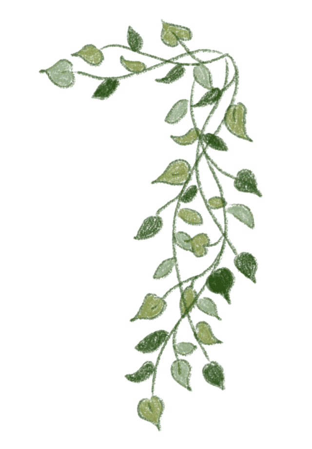 Vines decoration